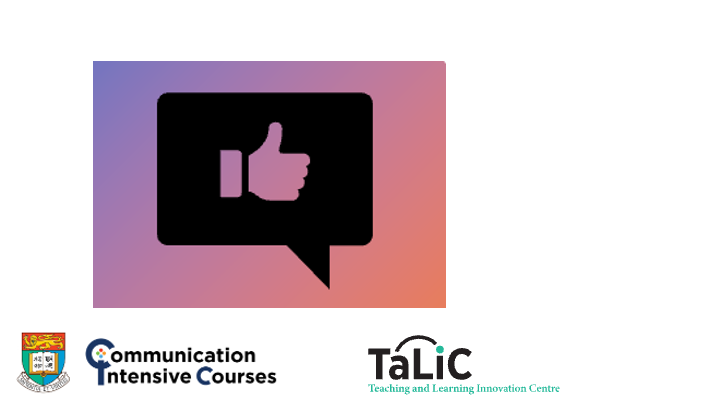 CiC Peer Feedback CICPF