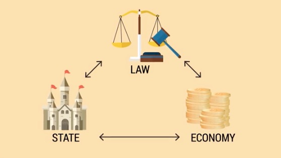 State, Law and the Economy ECON2276