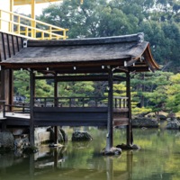 Kinkakuji Temple 4.jpg