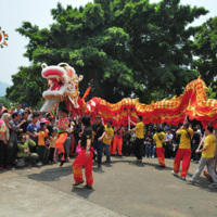 Dragon Dance