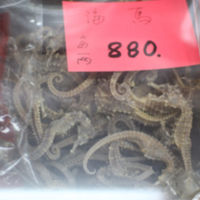 dried seahorse, 海馬