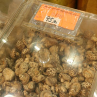 shiitake mushroom, 冬菇