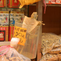 dried gecko, 蛤蚧