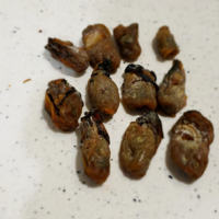 dried oyster, 蠔豉