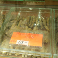 American ginseng,花旗參