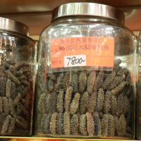 sea cucumber, 海參