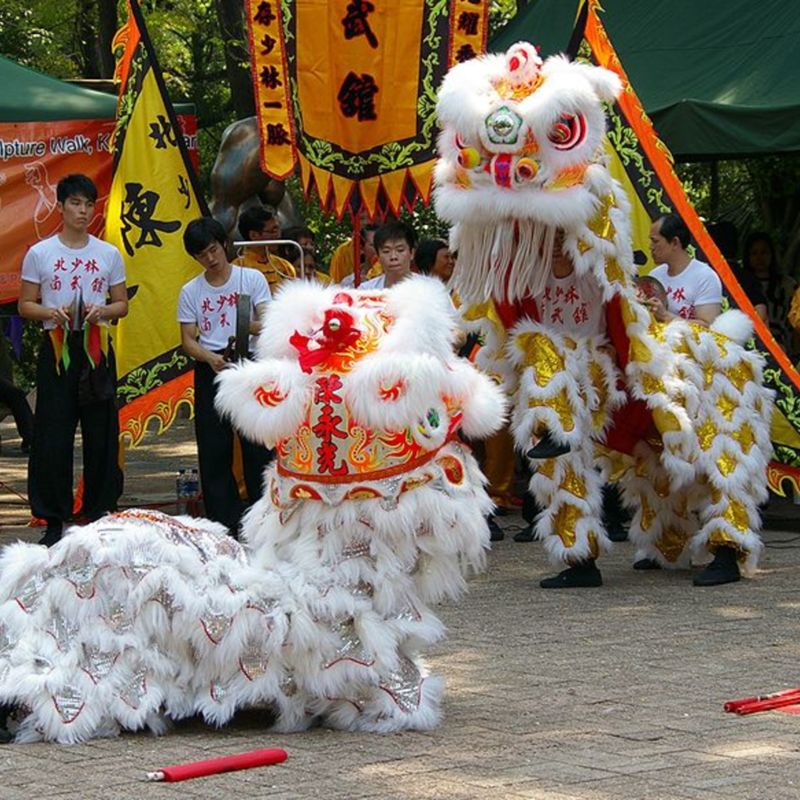 Lion Dance