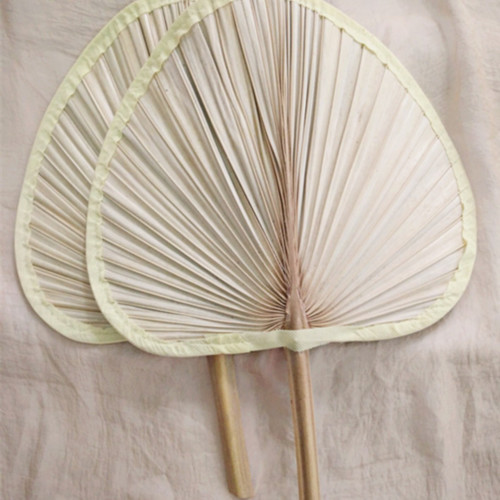 Palm leaf fan