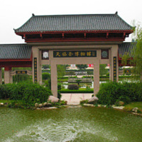 Tenfu Tea Museum