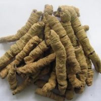 bajitian1.jpg