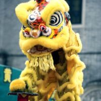 Chinese Lion Dance Costume 舞獅