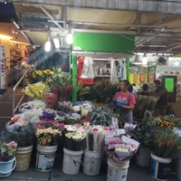 Flower shop