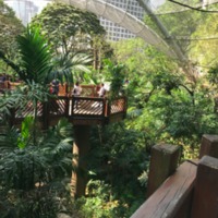 Edwarde Youde Aviary