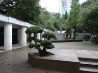 tai-chi-garden.jpg