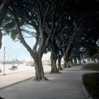 F2004_146.jpg