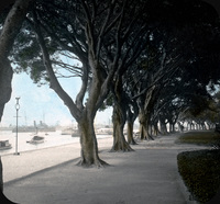 F2004_146.jpg