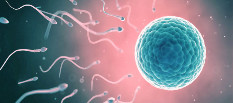 Fertility and Infertility Support Hub (FISH)